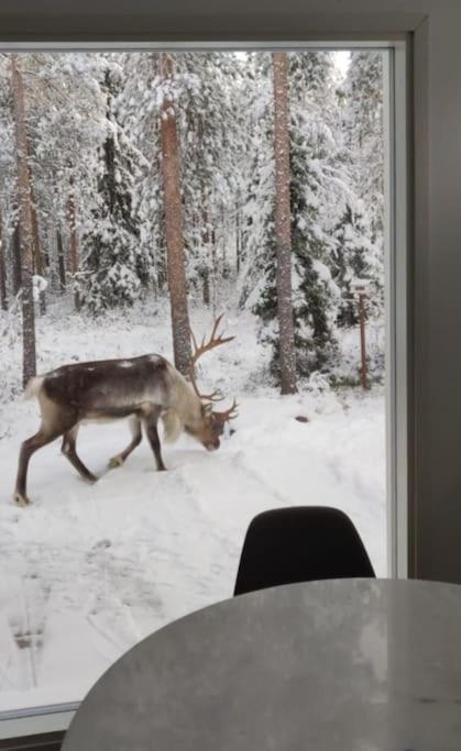 Arctic Circle Guesthouse โรวานิเอมิ ภายนอก รูปภาพ