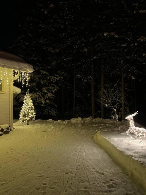 Arctic Circle Guesthouse โรวานิเอมิ ภายนอก รูปภาพ